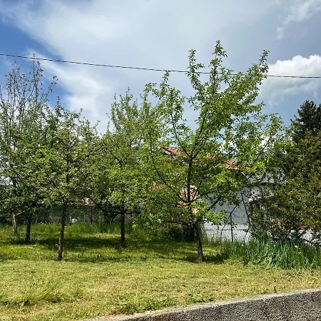 Apartman Alisa Ferienhaus *